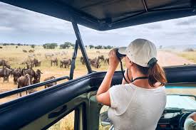 Crater spotted during 4-day private safari in Serengeti National Park Tanzania